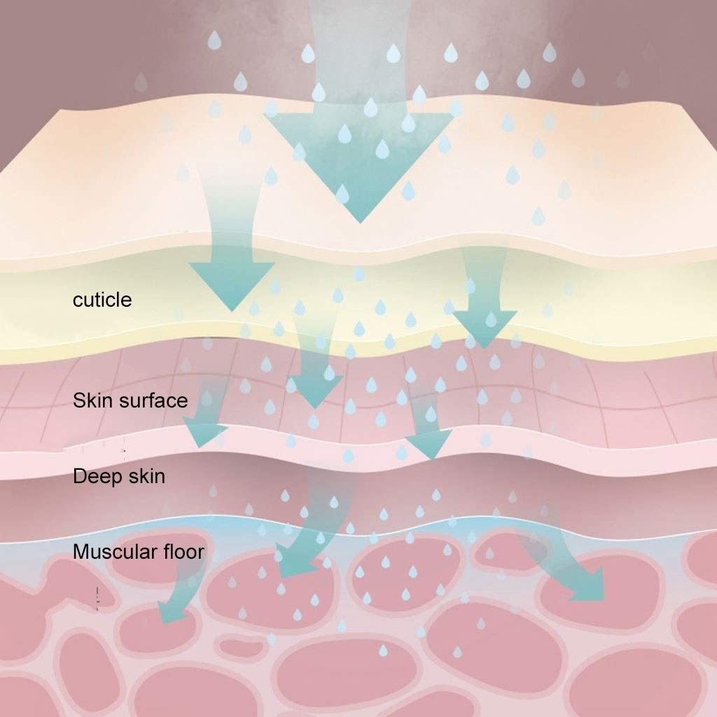 ZYX Nano Ionic Desktop Facial Steamer, Hot Mist Nano Ionic Face Steamer for Spa Skin Care Sinuses Ad