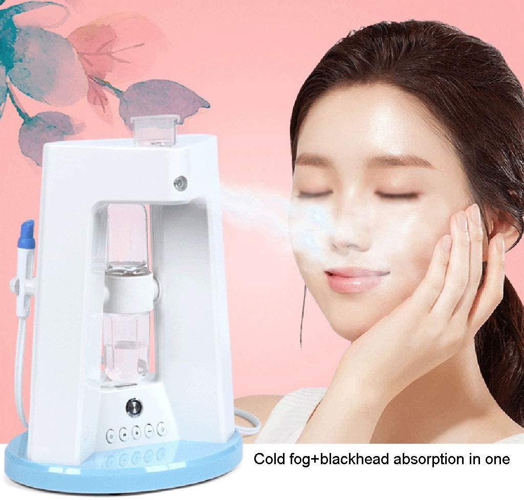 ZYX Nano Ionic Desktop Facial Steamer, Hot Mist Nano Ionic Face Steamer for Spa Skin Care Sinuses Ad