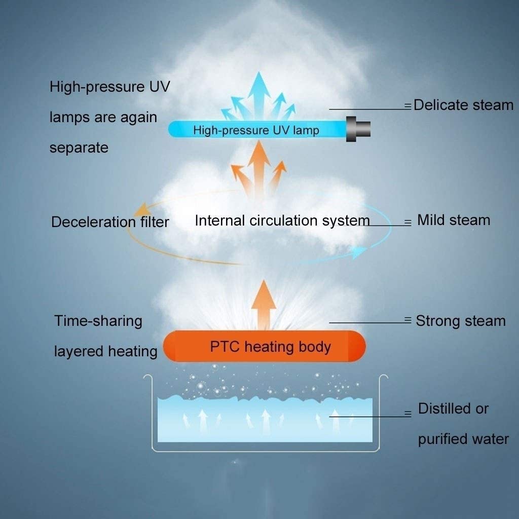 ZYX Nano Ionic Desktop Facial Steamer, Hot Mist Nano Ionic Face Steamer for Spa Skin Care Sinuses Ad