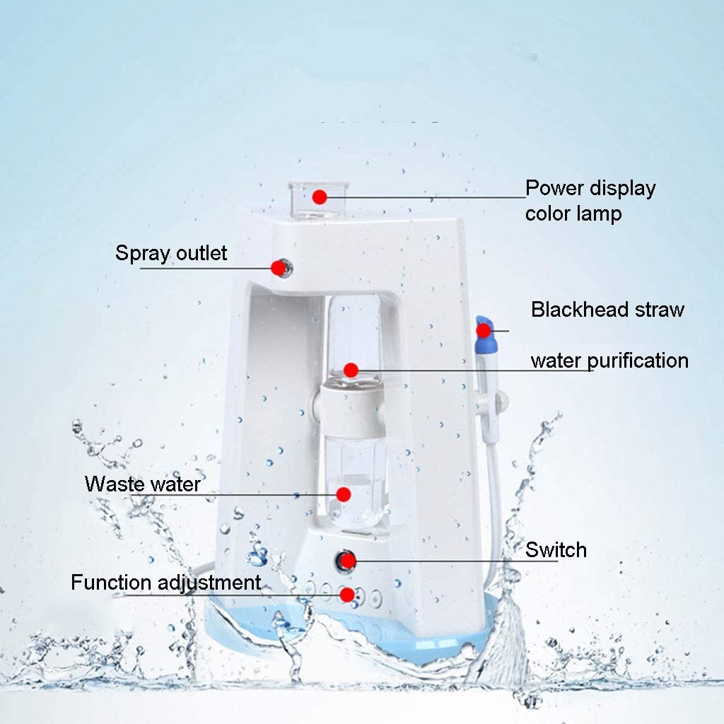 ZYX Nano Ionic Desktop Facial Steamer, Hot Mist Nano Ionic Face Steamer for Spa Skin Care Sinuses Ad