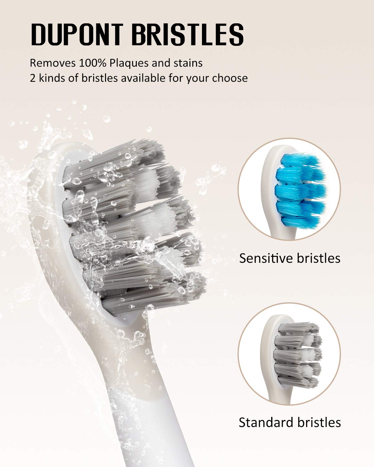 Sonic Electric Toothbrush, Qhou 3 Modes Rechargeable Toothbrush, Whitening Toothbrushes with 2 Brush