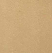 Walttools Tru Tique (Champaign) | Concrete Antiquing Wash Color Pigment (19 Colors) - Enhance Textur