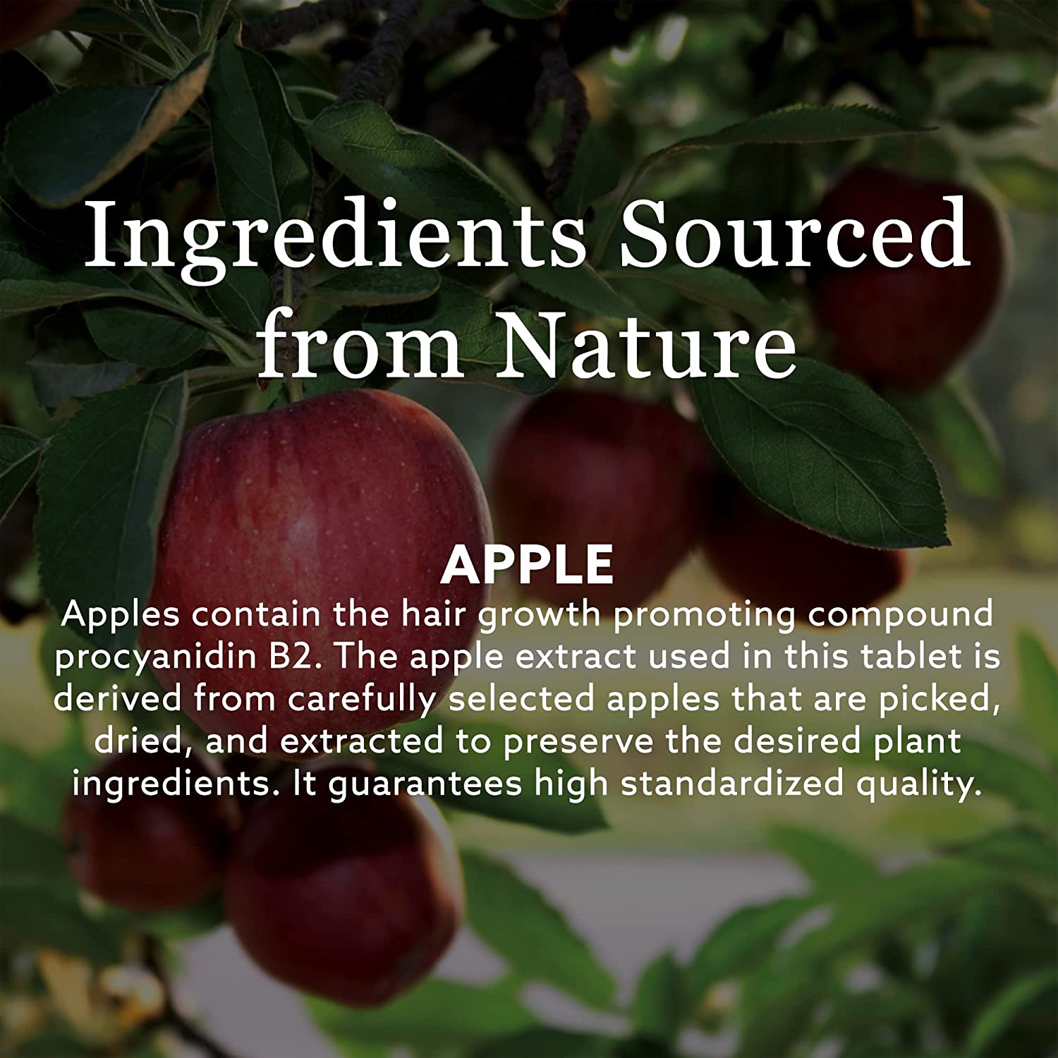 New Nordic Hair Volume Gummies | with Biotin for Healthy Hair Skin & Nails | Swedish Made | 60 Count