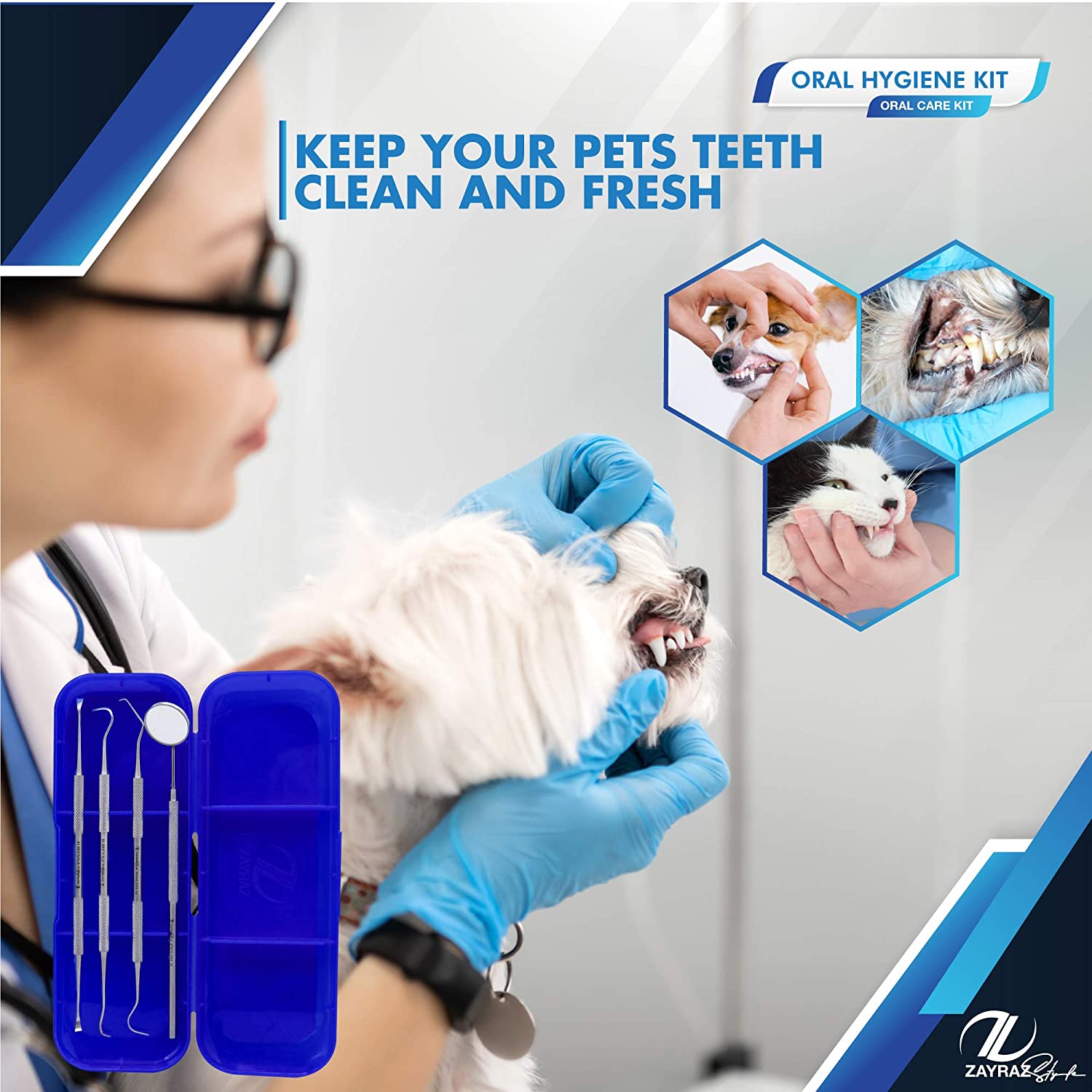 Zayraz Dental Care Set Dentist Tools Kit, Professional Calculus and Plaque Remover Set, Dental Hygie