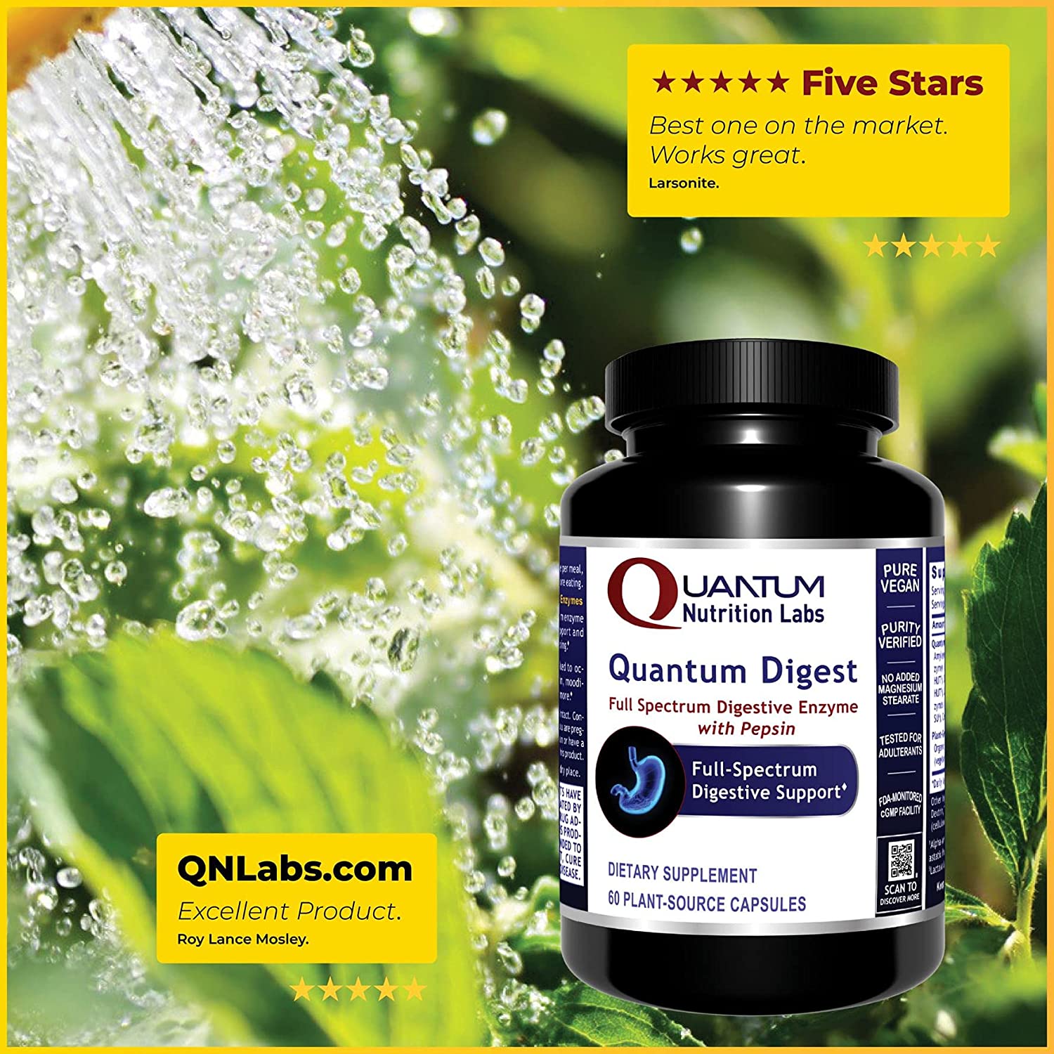 Quantum Digest - Digestion Enzymes for Digestion Support - Aid in The Breakdown of Carbohydrates, Pr