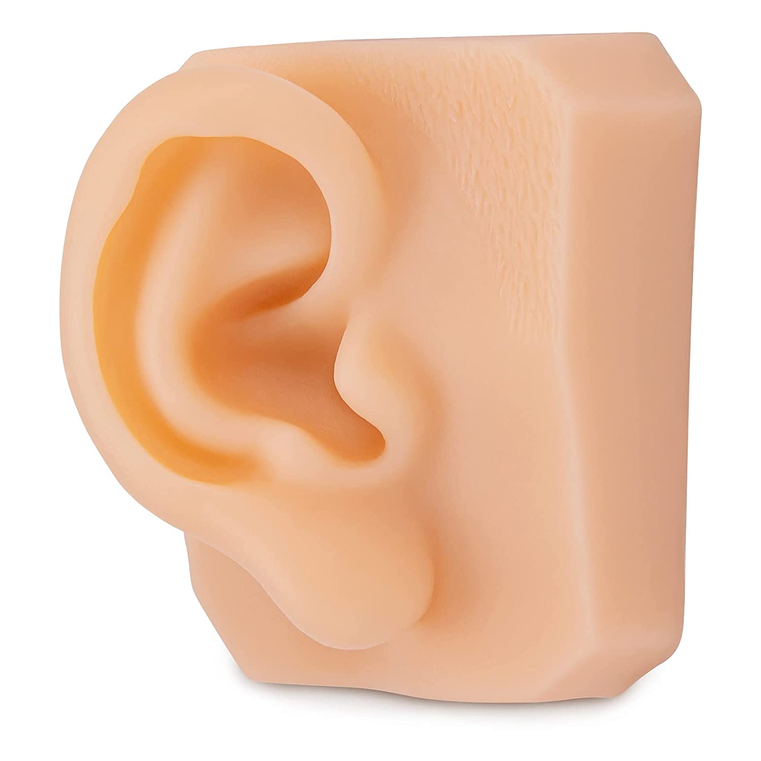 Ultrassist Soft Silicone Right Ear Model for Practicing Suture, Silicone Flexible Model for Jewelry 