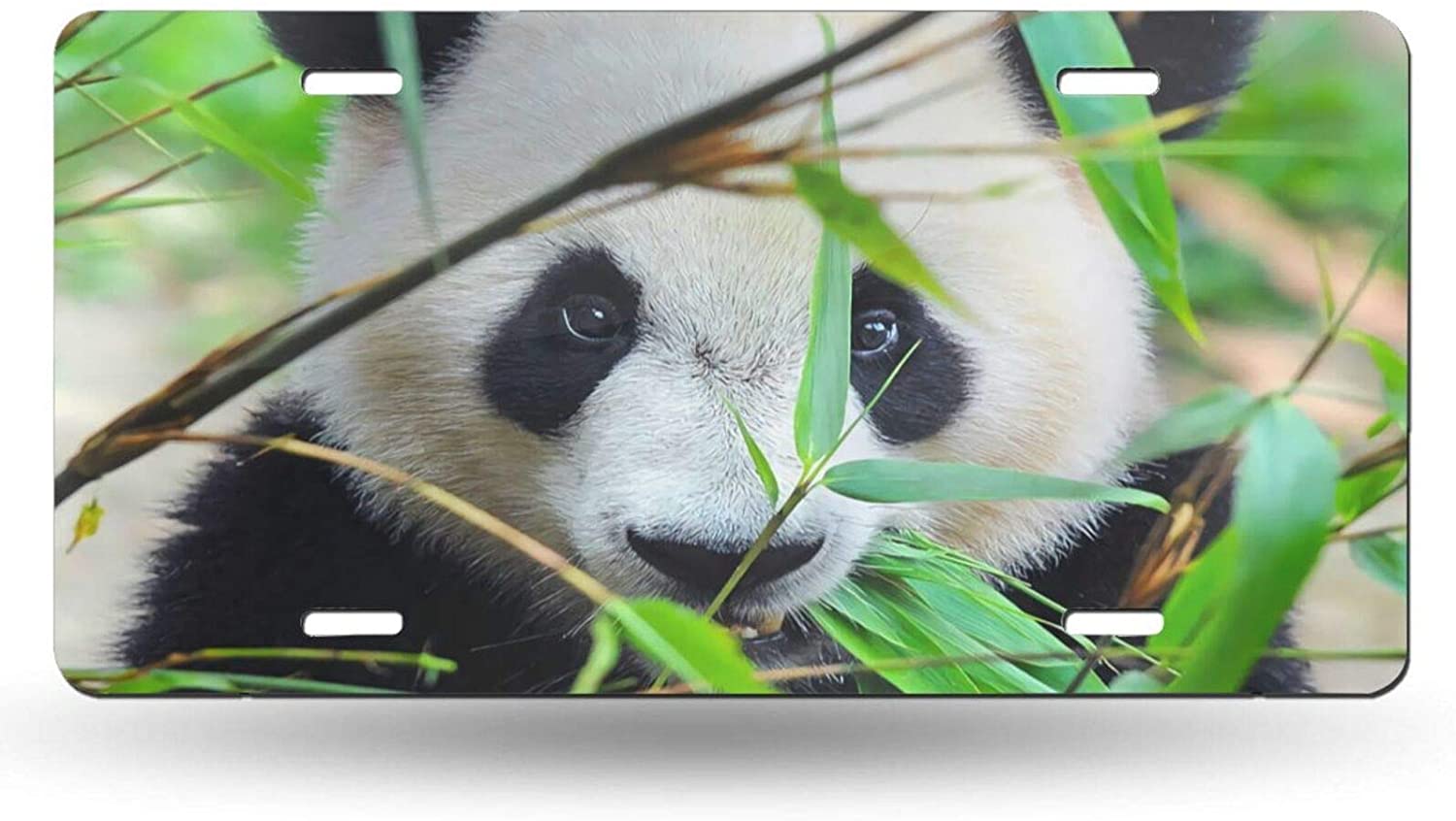 Cute Animal Panda Eating Bamboo Tree Green Leaves License Plate Frame Aluminum Metal Covers,Metal No
