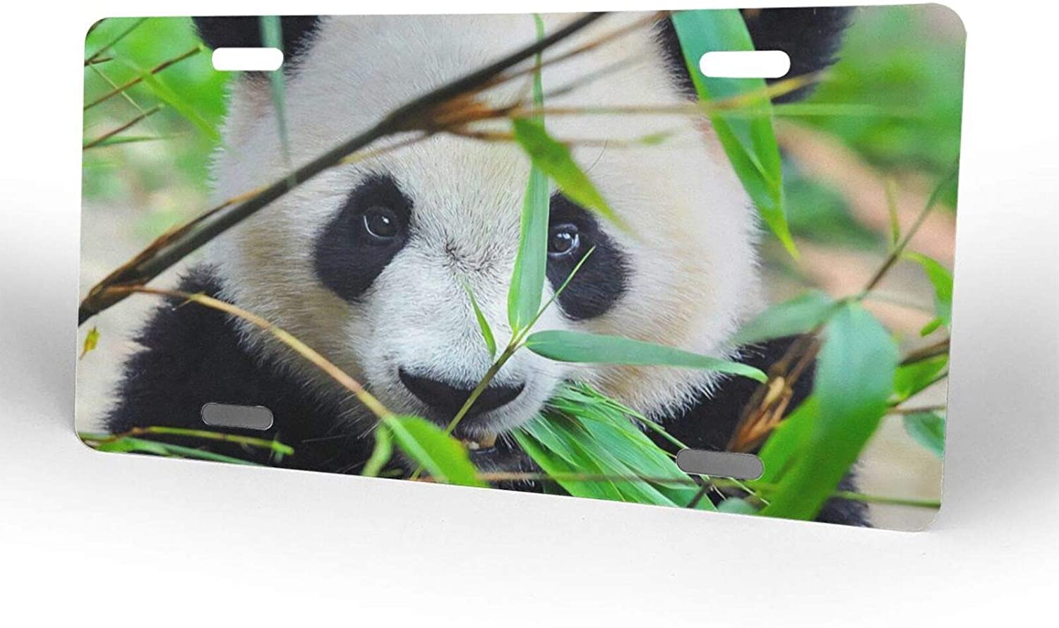 Cute Animal Panda Eating Bamboo Tree Green Leaves License Plate Frame Aluminum Metal Covers,Metal No