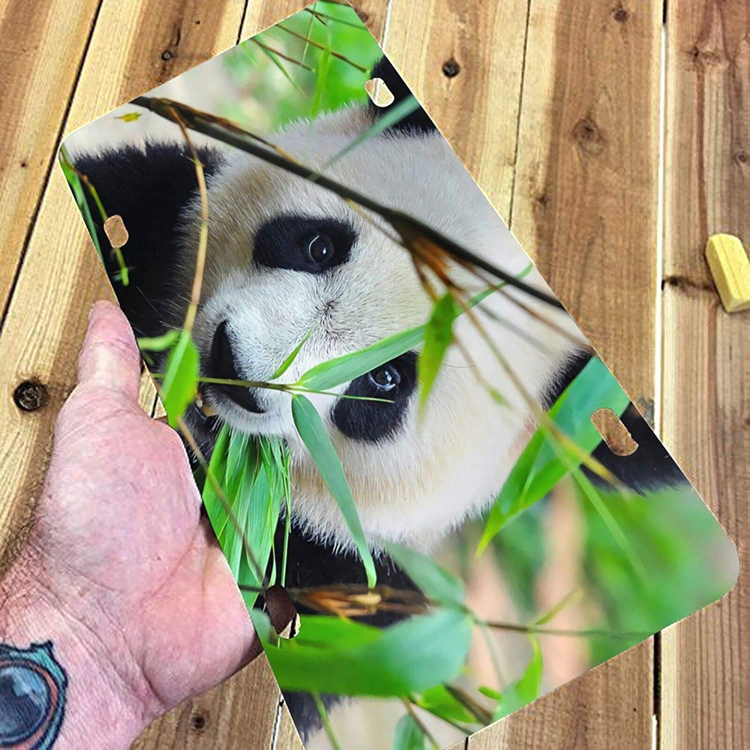 Cute Animal Panda Eating Bamboo Tree Green Leaves License Plate Frame Aluminum Metal Covers,Metal No