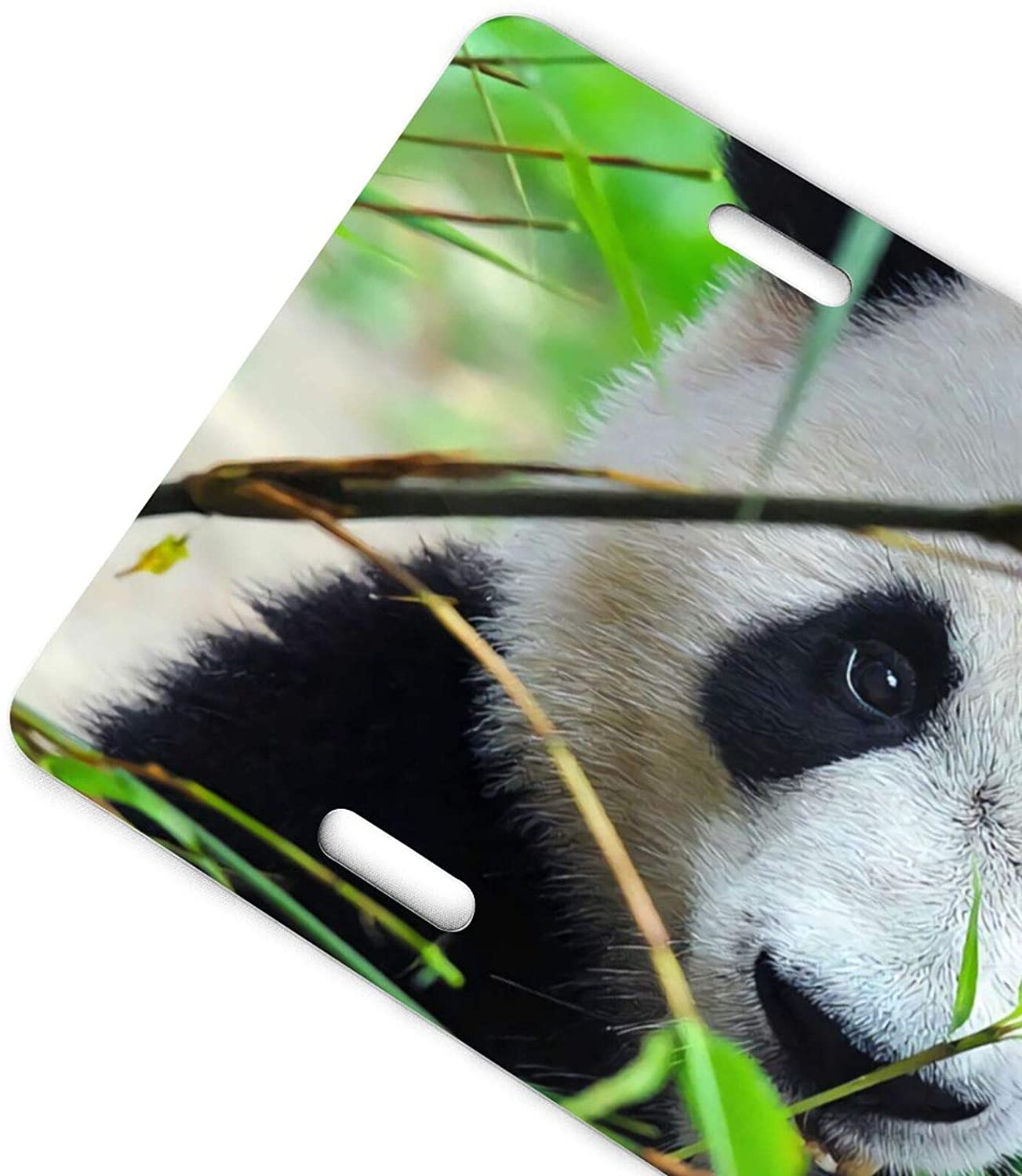Cute Animal Panda Eating Bamboo Tree Green Leaves License Plate Frame Aluminum Metal Covers,Metal No