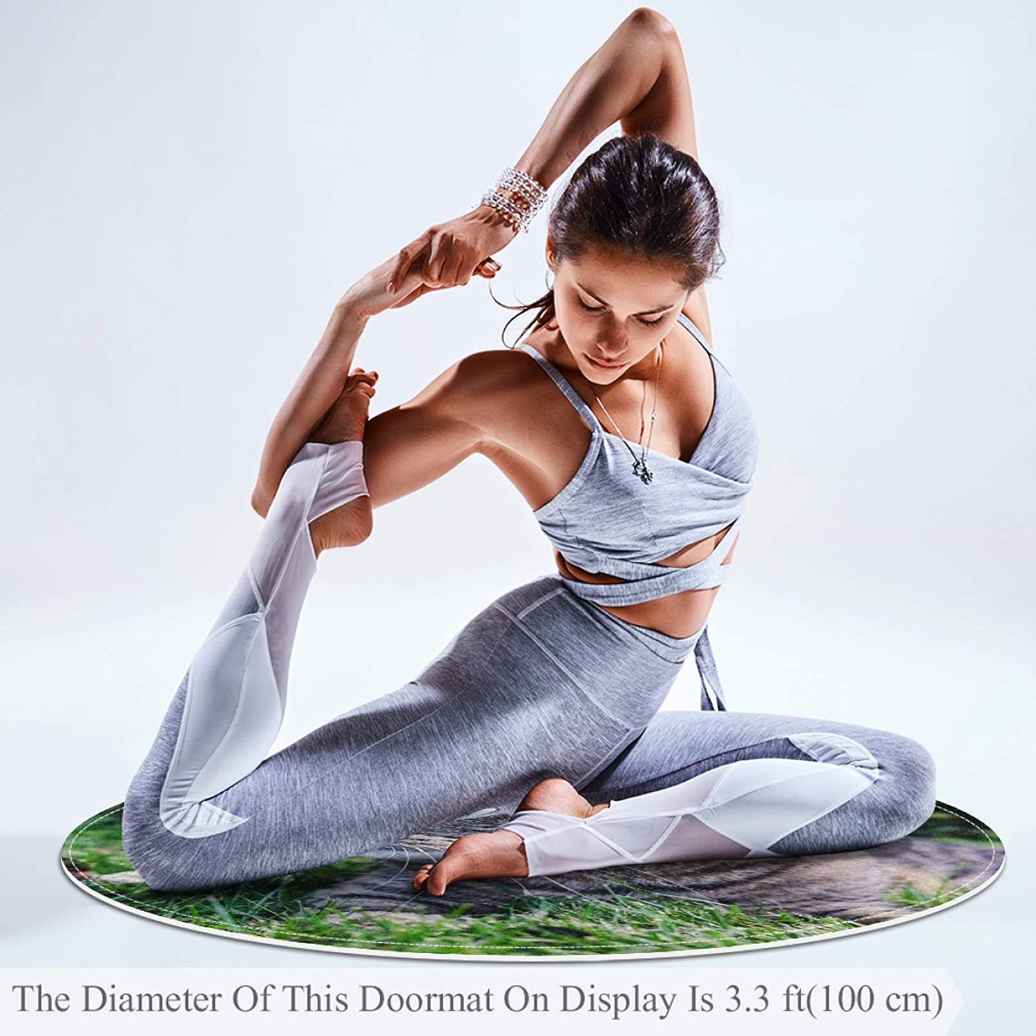 Pet Round Mat Cat and Grass Feeding Mat Colorful for Pet Dogs Cats Beds 31.5x31.5in