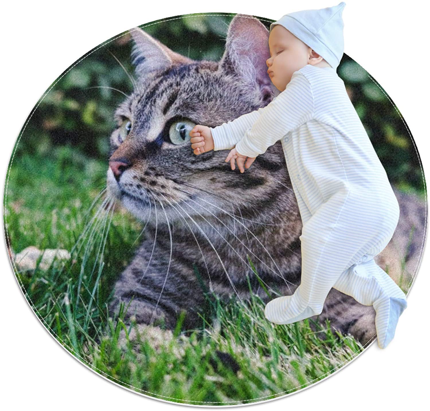 Pet Round Mat Cat and Grass Feeding Mat Colorful for Pet Dogs Cats Beds 31.5x31.5in