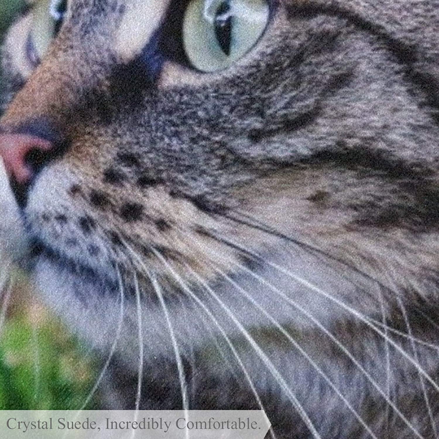 Pet Round Mat Cat and Grass Feeding Mat Colorful for Pet Dogs Cats Beds 31.5x31.5in