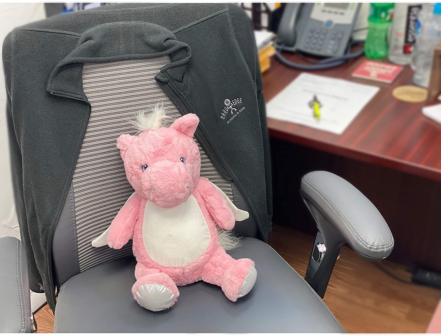 HARD EDGE DESIGN Personalized Stuffed Pink Pegasus, Embroidered for Child's First Halloween
