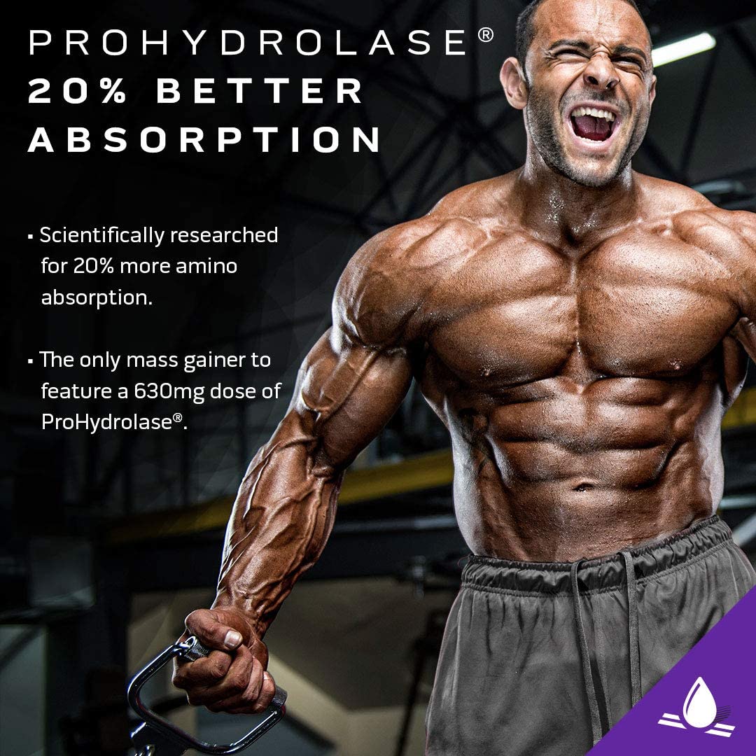 Mass Gainer Protein Powder | MuscleTech Mass-Tech Elite Mass Gainer | Whey Protein Powder + Muscle B