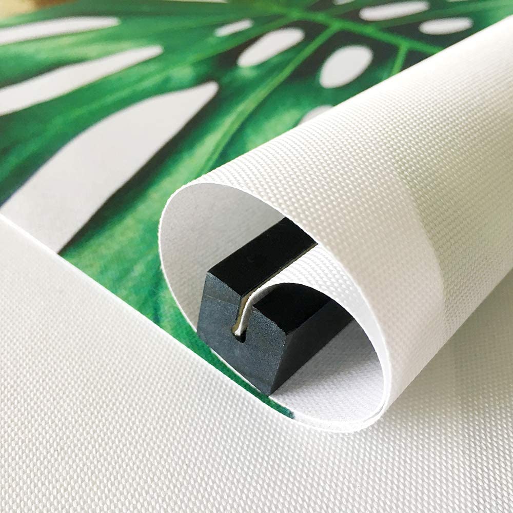 ASENART Height Growth Chart Cartoon Animal Frog for Kids – Portable Foldable Writable Waterproof H