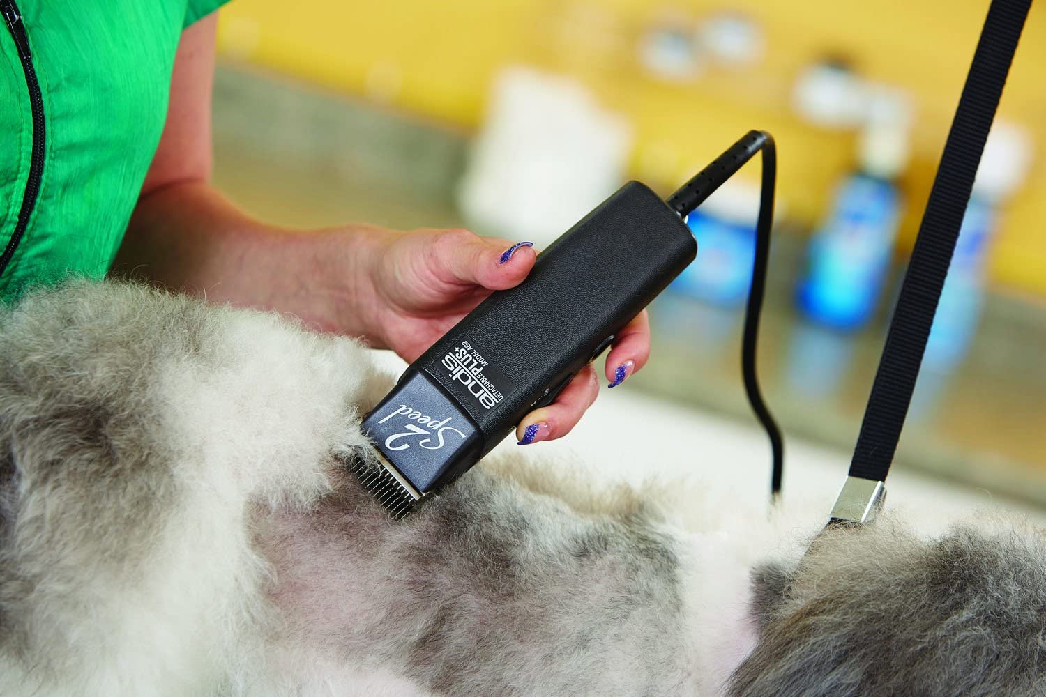 Andis ProClip Speed Detachable Blade Clipper, Professional Animal Grooming