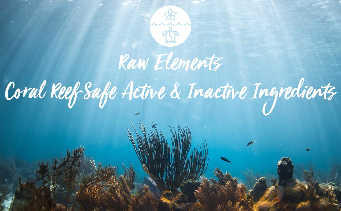 Raw Elements Tinted Facial Moisturizer Certified Natural Sunscreen | Non-Nano Zinc Oxide, 95% Organi