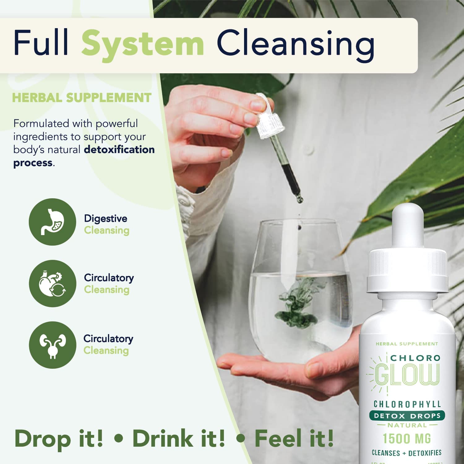 Chloroglow Liquid Chlorophyll Oxygen Drops 1500mg | Energy Supplement and Immune Support, Natural De