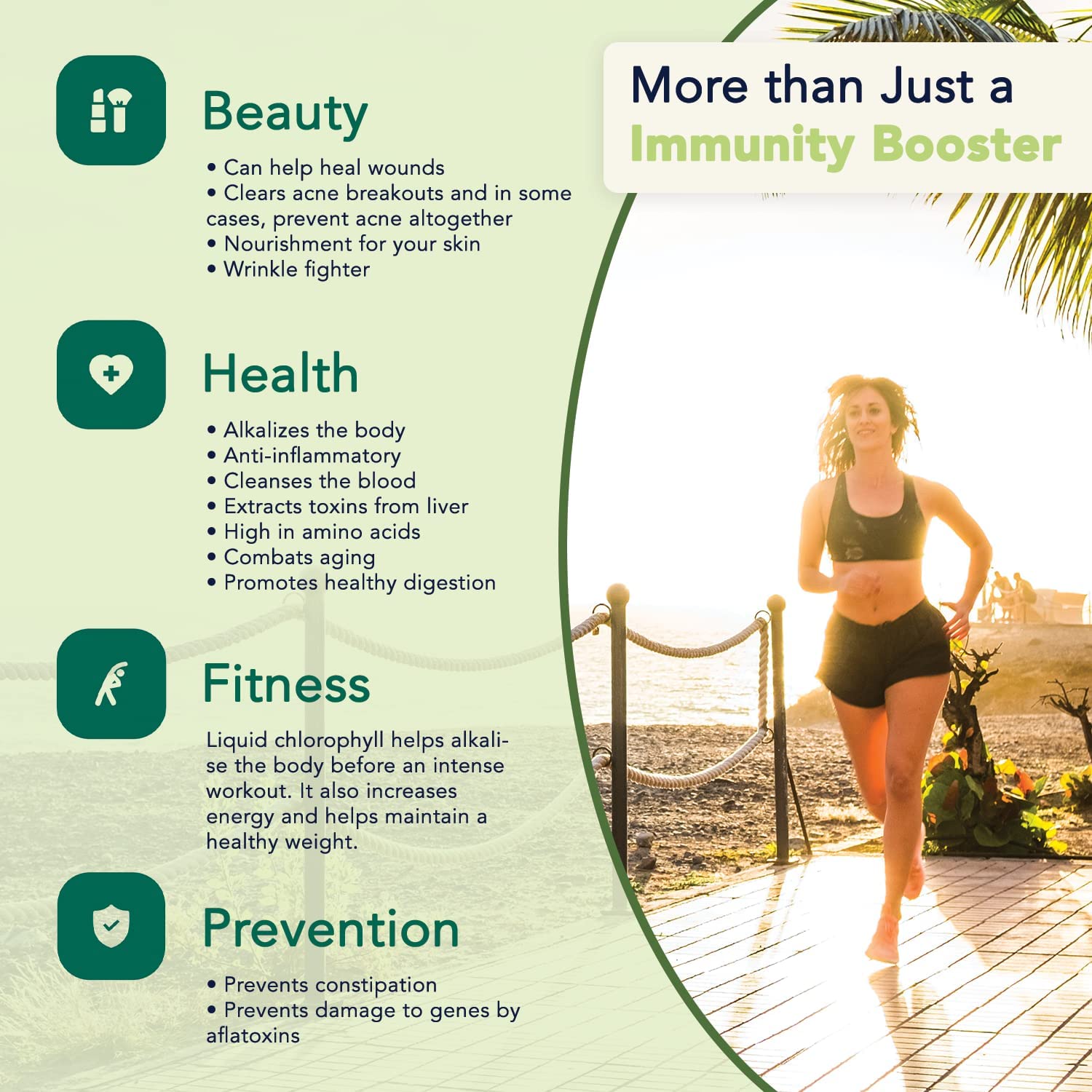 Chloroglow Liquid Chlorophyll Oxygen Drops 1500mg | Energy Supplement and Immune Support, Natural De