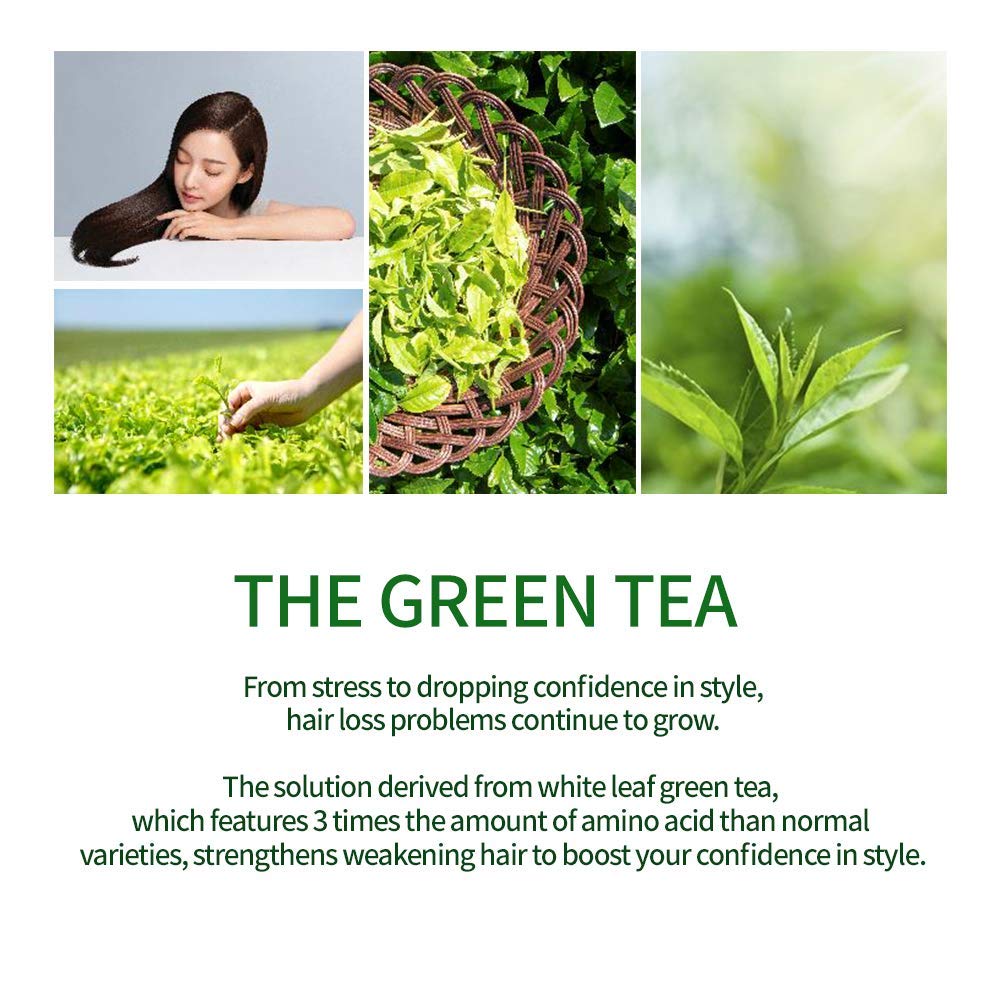 AMOS PROFESSIONAL The Green Tea Shampo [Mild - For Sensitive Scalp] 17.6oz (500g) | Gentle Anti-Thin