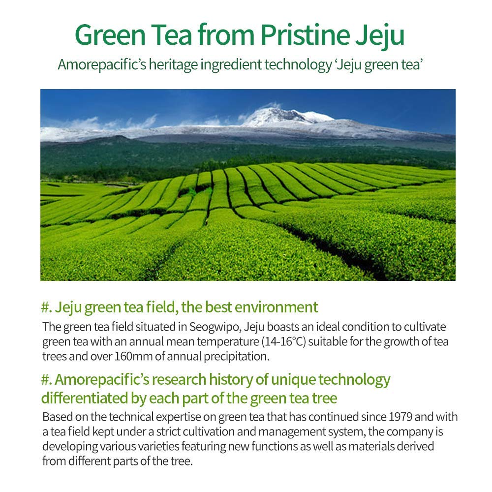 AMOS PROFESSIONAL The Green Tea Shampo [Mild - For Sensitive Scalp] 17.6oz (500g) | Gentle Anti-Thin