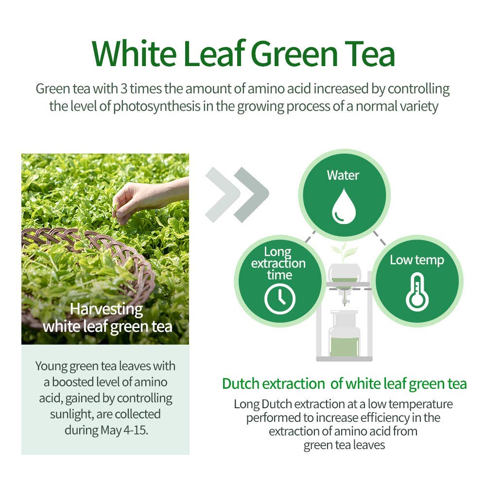 AMOS PROFESSIONAL The Green Tea Shampo [Mild - For Sensitive Scalp] 17.6oz (500g) | Gentle Anti-Thin