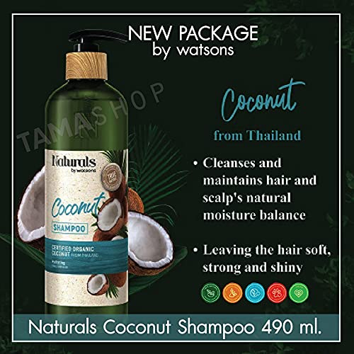 Set A63 Natural by Watsons Olive Shampoo 490ml Hair Pro by Watsons Heat Active DHL EXPRESS By Thaigi