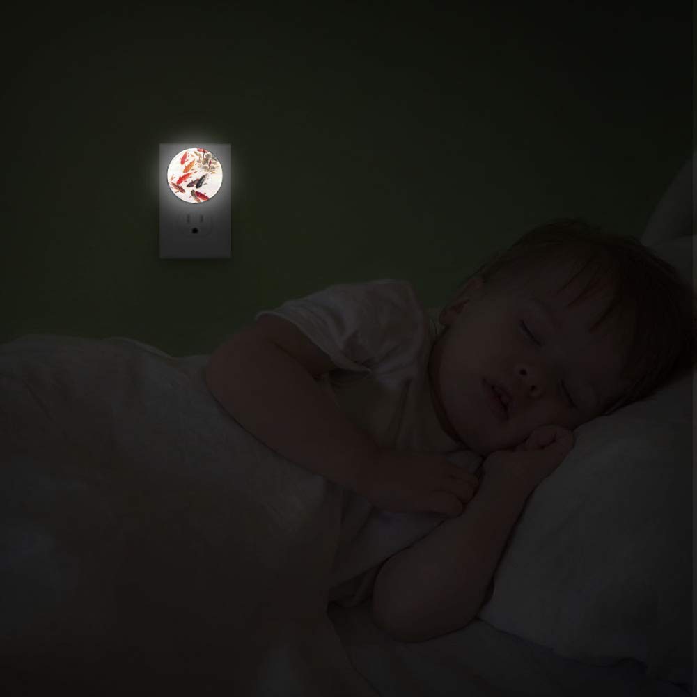 LED Night Light with Nine Fish Lotus Painting Night Light Plug in Wall with Dusk-to-Dawn Sensor 2 Pa