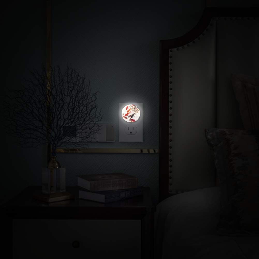 LED Night Light with Nine Fish Lotus Painting Night Light Plug in Wall with Dusk-to-Dawn Sensor 2 Pa