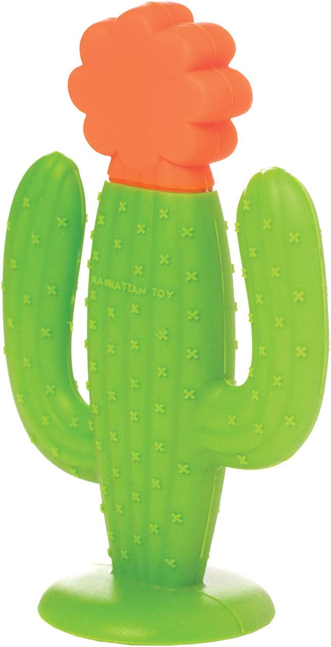 Manhattan Toy Cactus Textured Silicone Teether