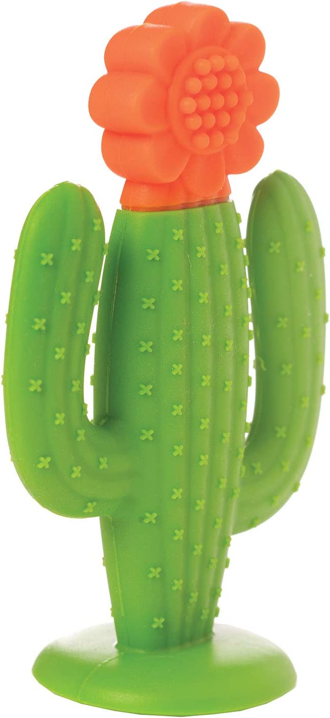 Manhattan Toy Cactus Textured Silicone Teether