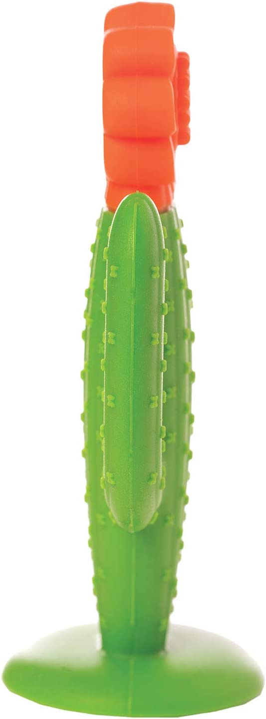 Manhattan Toy Cactus Textured Silicone Teether