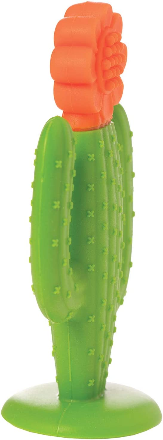 Manhattan Toy Cactus Textured Silicone Teether