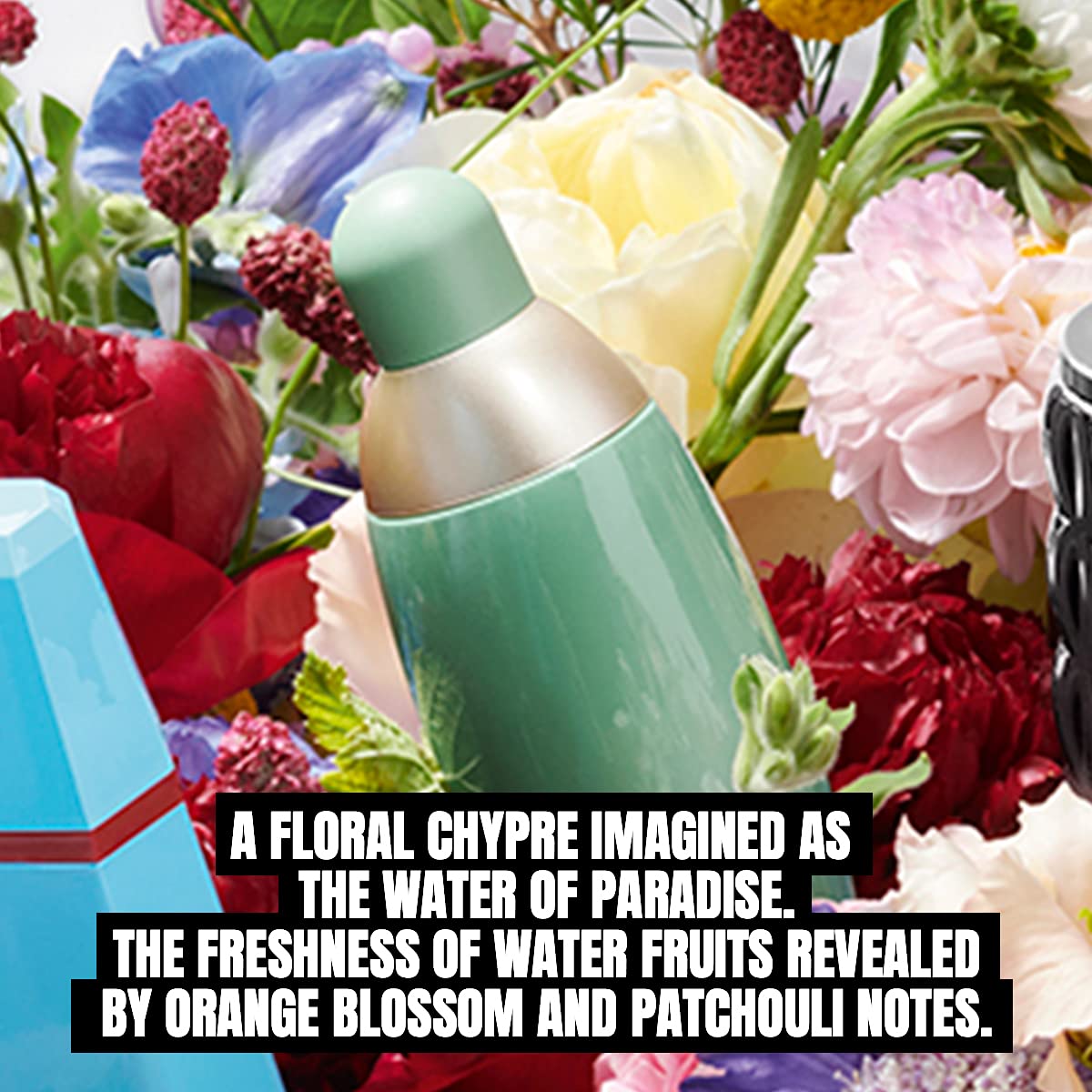 Cacharel Eden Eau de Parfum Spray Perfume for Women