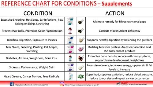 Raw Support Dog and Cat Supplement Powder – 6 Supplement Options [Allergies, Digestion, Energy, He
