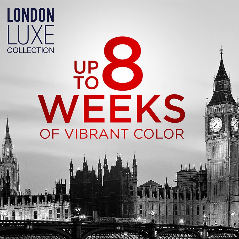 Vidal Sassoon Pro Series Permanent Hair Dye, 2 Black Hair Color, 1 Count