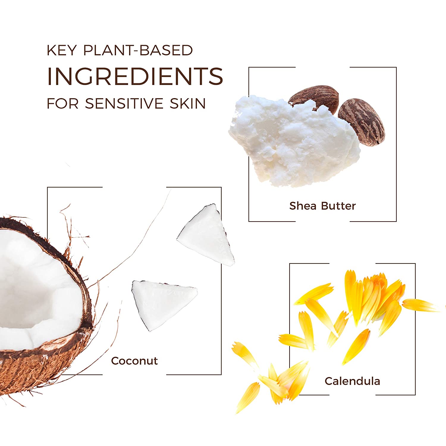 Babo Botanicals Baby Skin Mineral Sunscreen Lotion SPF 50 Broad Spectrum - with 100% Zinc Oxide Acti