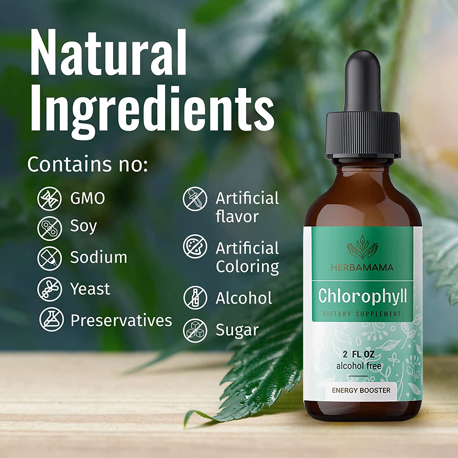 HERBAMAMA Chlorophyll Liquid Drops - Energy Booster, Digestion & Immune Support - Vegan Natural Supp