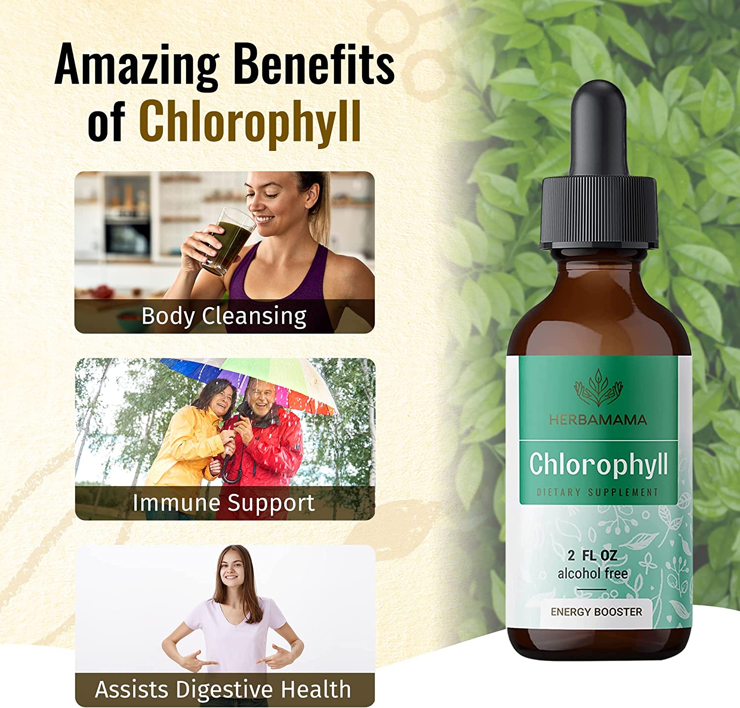 HERBAMAMA Chlorophyll Liquid Drops - Energy Booster, Digestion & Immune Support - Vegan Natural Supp