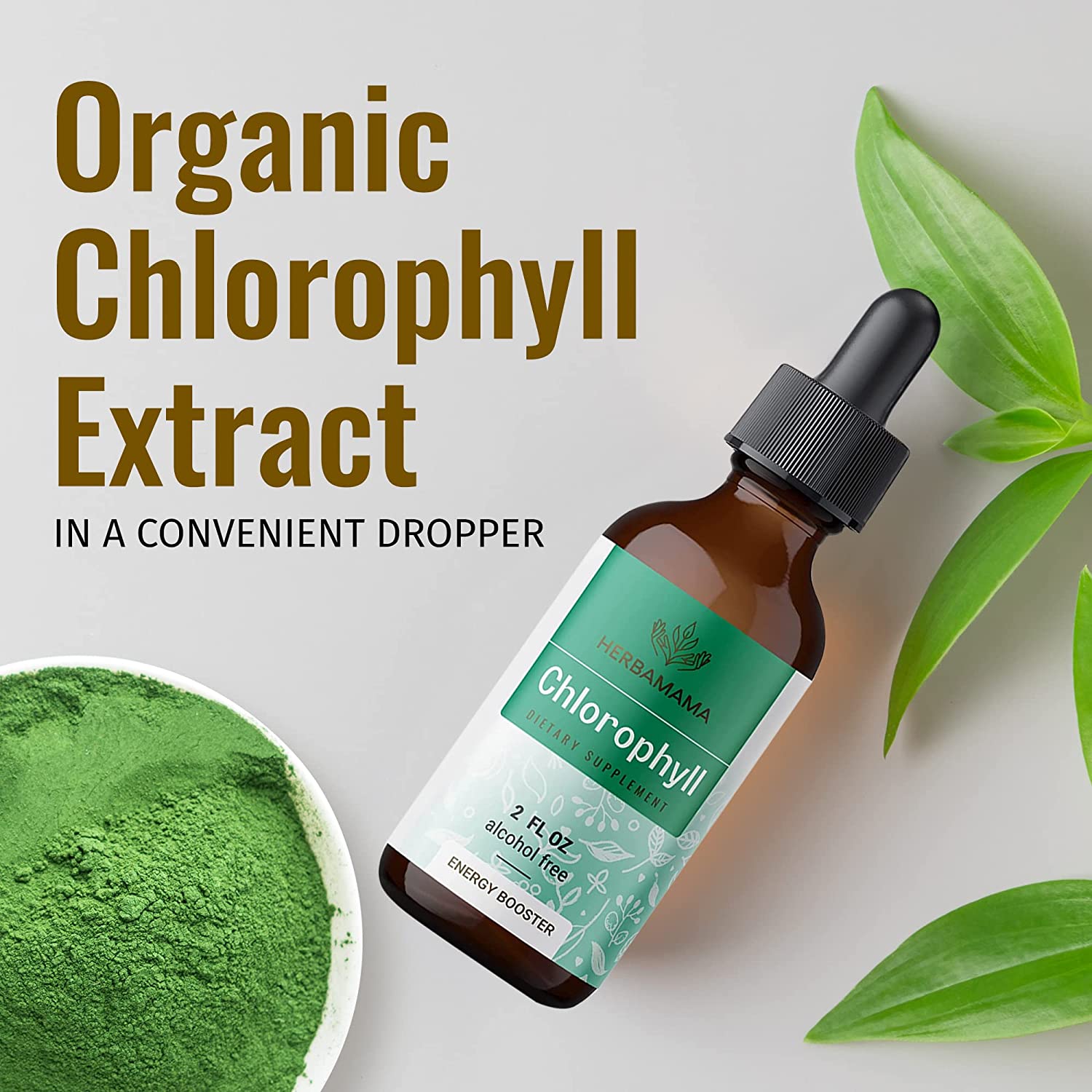 HERBAMAMA Chlorophyll Liquid Drops - Energy Booster, Digestion & Immune Support - Vegan Natural Supp