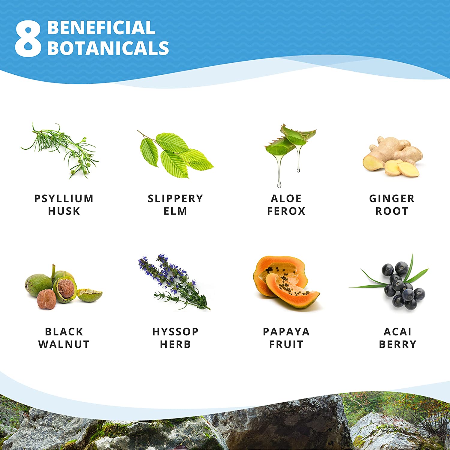 NutraCreek Psyllium Complex | 11-Ingredient Psyllium Husk Capsules with Psyllium Powder, Slippery El