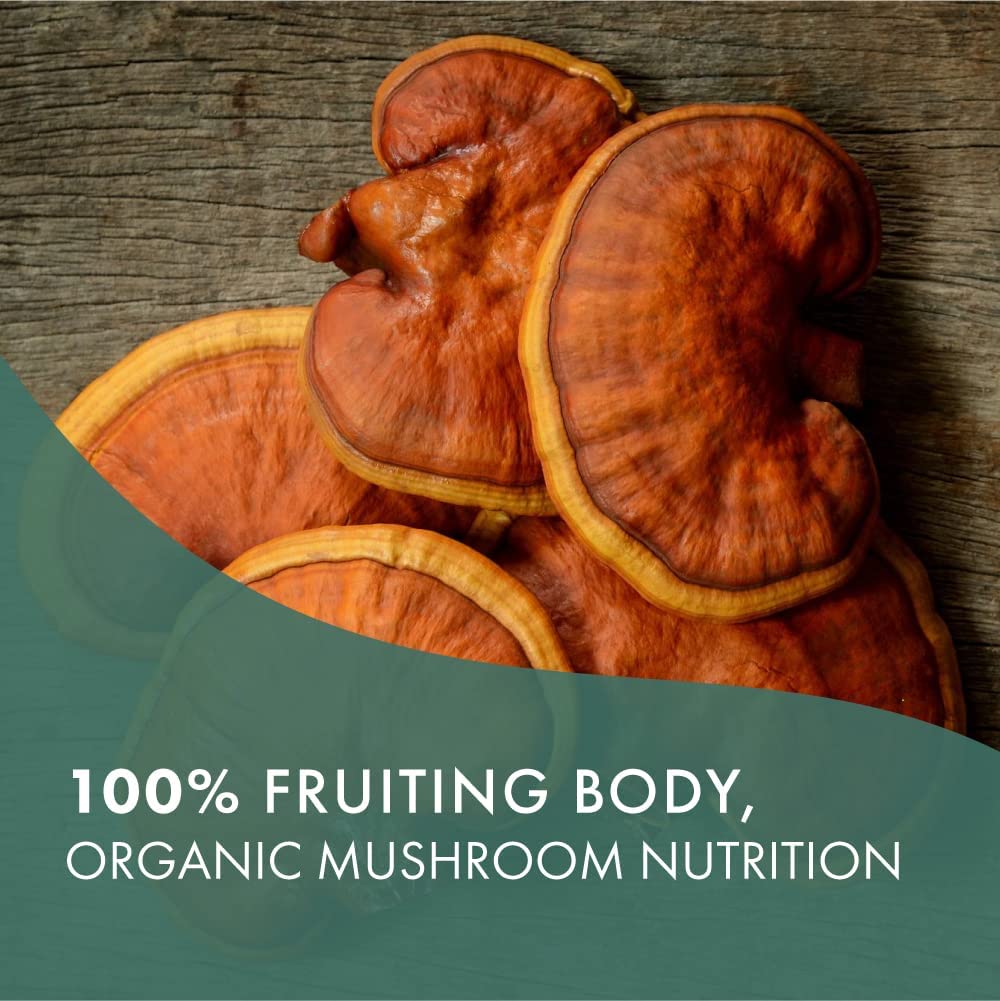Pure Essence Labs MyPure Reishi 4X Organic Mushrooms Supplement - 100% Real Mushroom Extract for Imm