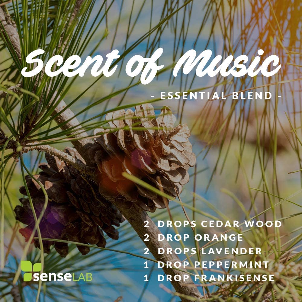 SenseLAB Cedarwood Essential Oil - 100 % Pure Extract Cedarwood Oil Therapeutic Grade - Hair and Ski