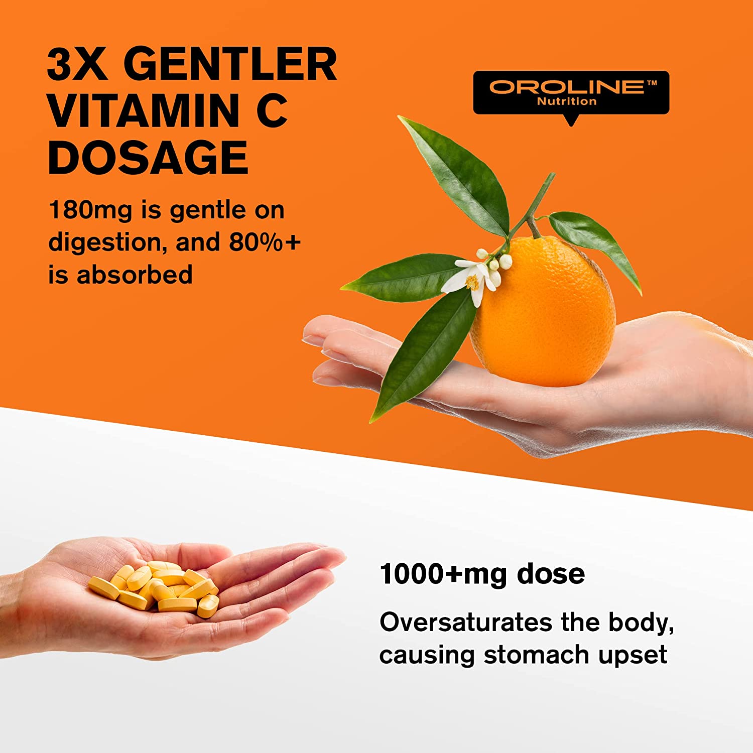 Immune Support Vitamins - Garlic, Vitamin C and Zinc, Elderberry, Echinacea - Immune System Booster 