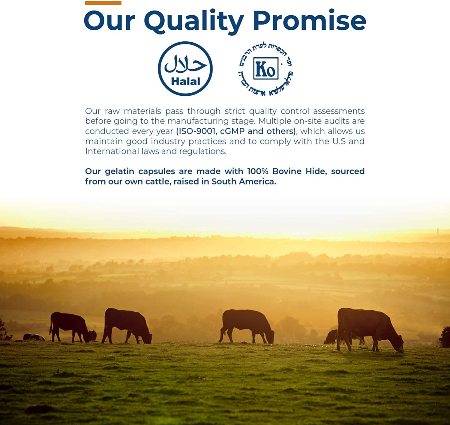 Capsuline - Size 000 Empty Gelatin Capsules - 100 Count Empty Pill Capsules - DIY Supplement Capsule