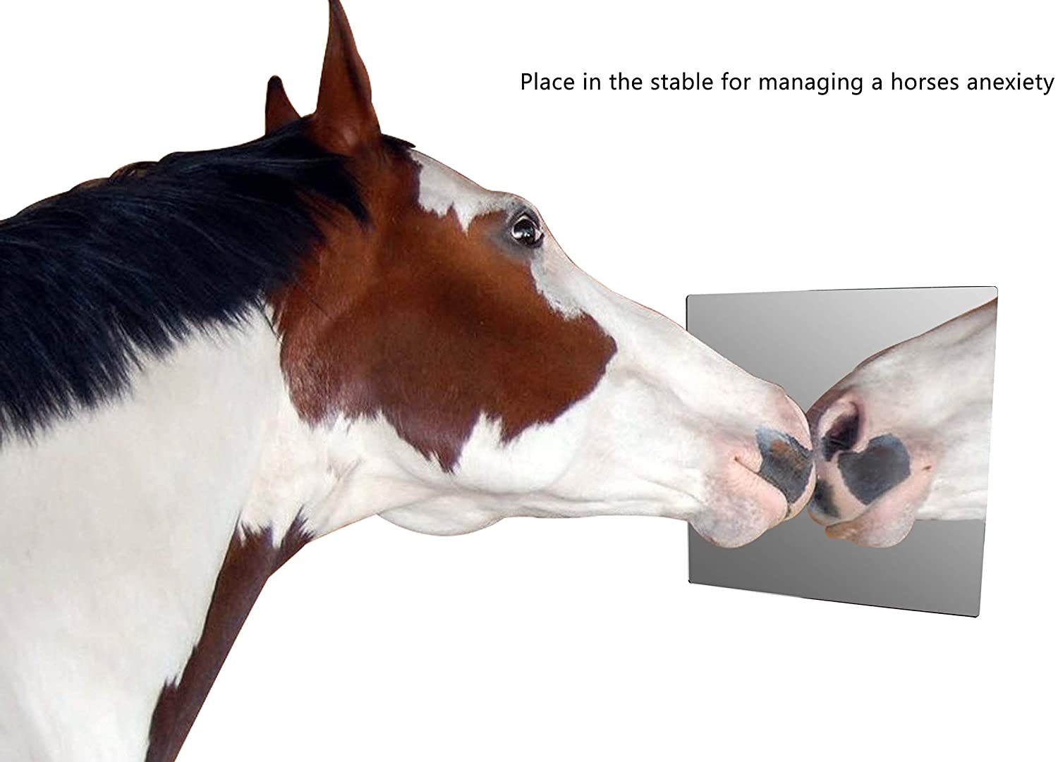 Marketing Holders 10”W Sheet Mirror w/Rounded Corners DIY Wall Decor Vanity Home Architectural Des