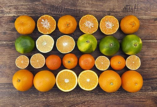 Vitamin E Collagen - Anti-Wrinkle Anti-Aging Complex - Skin Minerals (3 Bottles 180 Capsules)