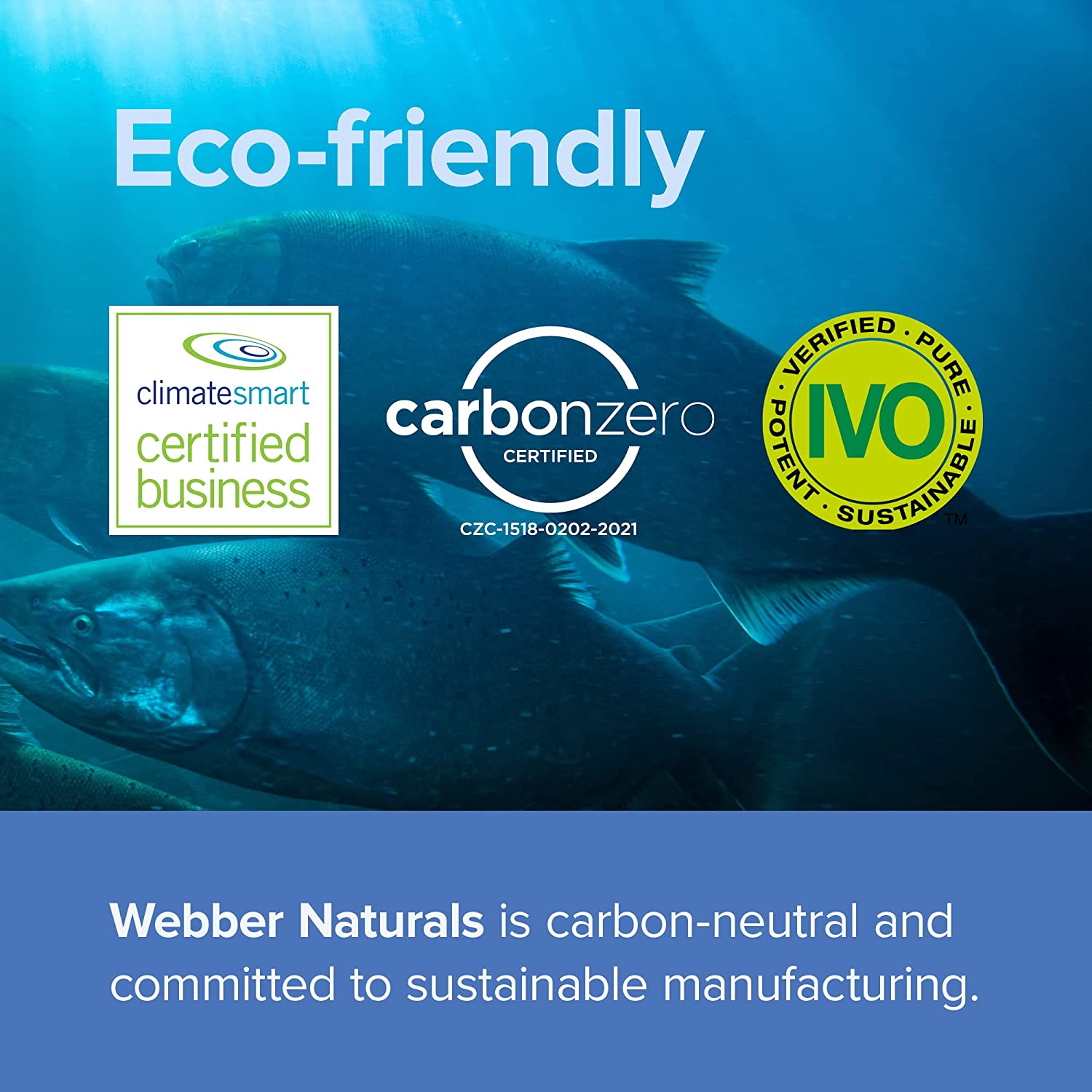 Webber Naturals Fish Oil 1,000 mg with 300 mg of Omega-3 Per Pill, 210 Softgels, for Heart, Brain an