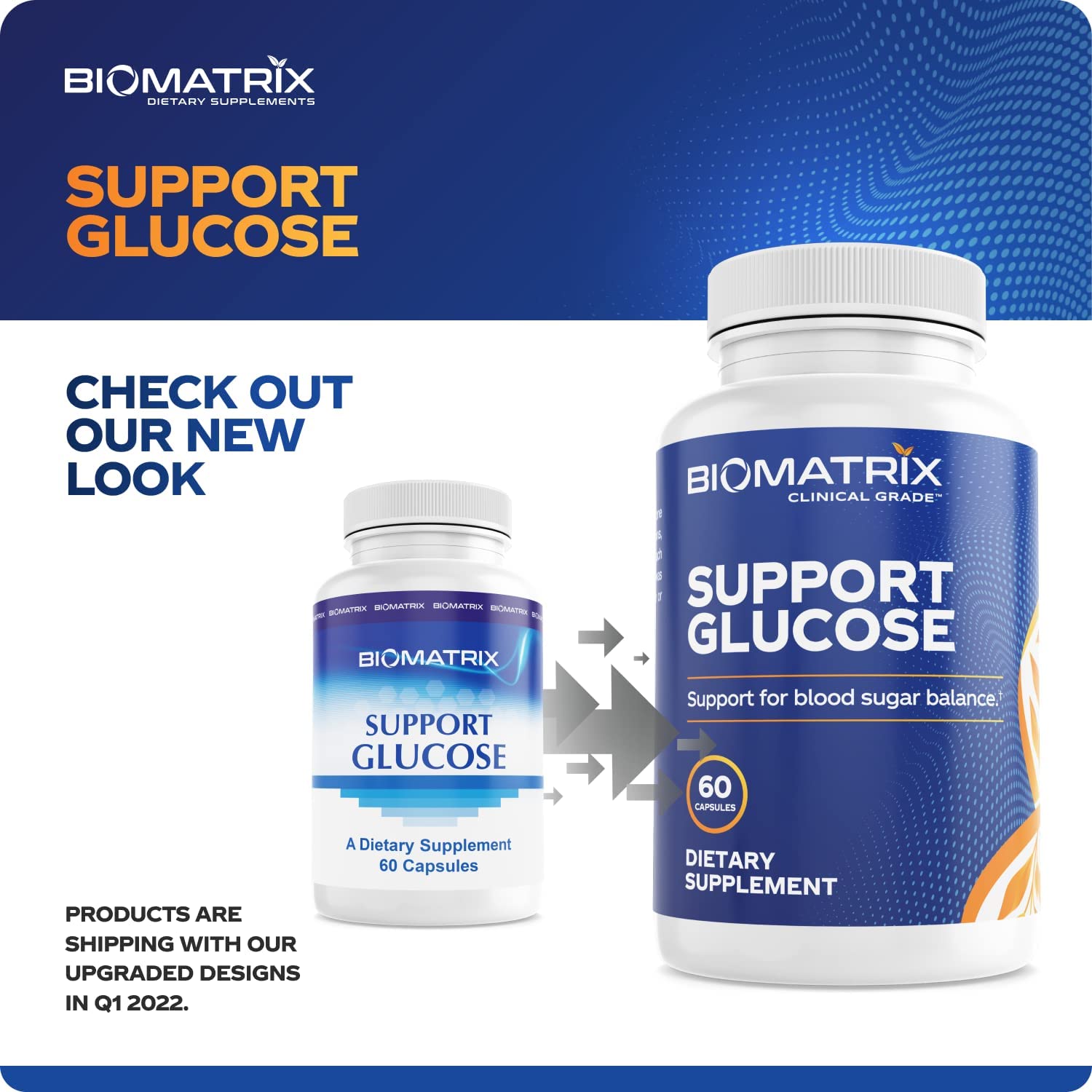 Blood Sugar Stabilizer Supplement for Healthy Blood Sugar & Glycemic Control with Gymnema, Vanadyl S